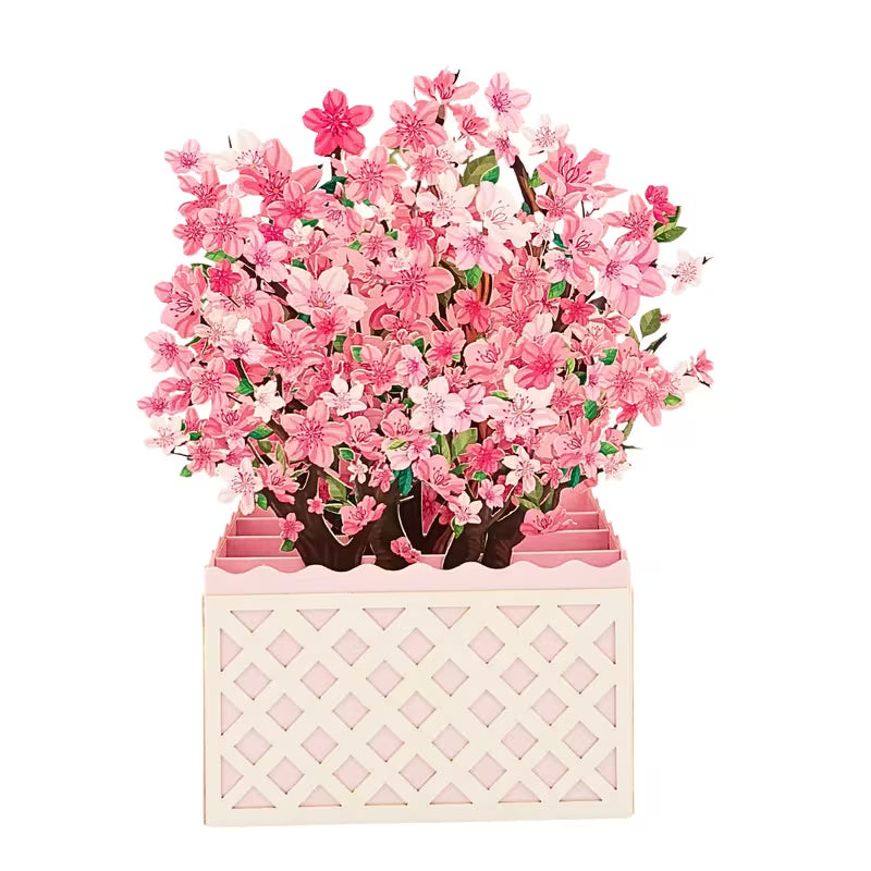 Sakura Cherry Blossom Pop-Up Bouquet Card – 3D Flower Greeting Card | Perfect for All Occasions