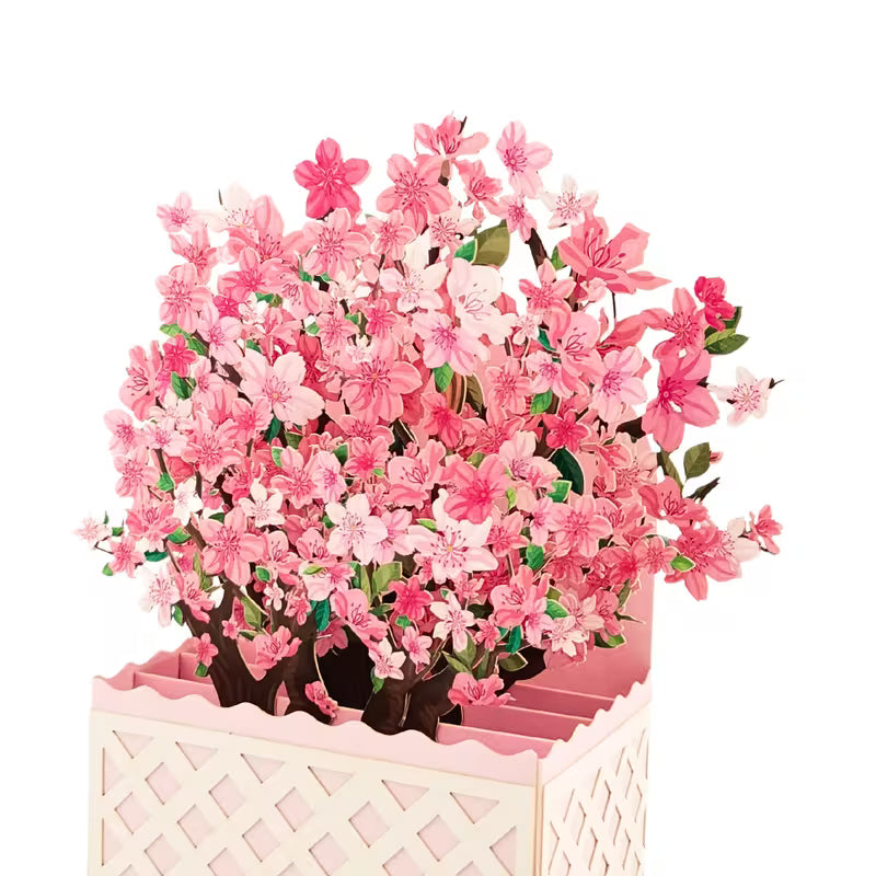 Sakura Cherry Blossom Pop-Up Bouquet Card – 3D Flower Greeting Card | Perfect for All Occasions